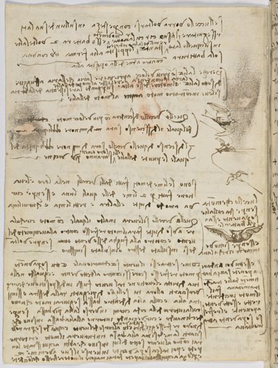 Codice sul volo degli uccelli, c. 1505-06, manoscritto su carta, cc. 18, foglio 10 verso da Leonardo da Vinci